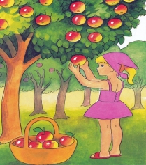 Раскраска Девочка собирает яблоки - распечатать бесплатно